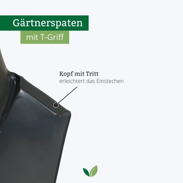 Gärtnerspaten mit T-Griff und Trittkante am Spatenblatt für leichteres Einstechen in den Boden.