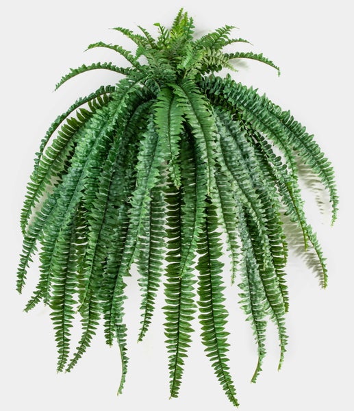Künstlicher Farnbusch zum Hängen mit grünen Blattwedeln.