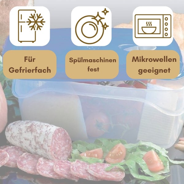 Frischhaltedosen mit Deckel Abtropfgitter Dampfventil Kunststoff Aufbewahrungsdosen Gefrierdosen Vorratsdosen Luftdicht 2,5 L