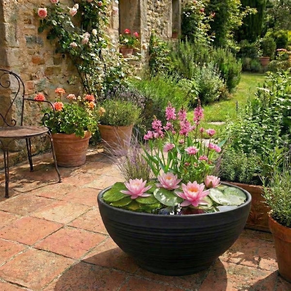 Mini-Teich in einer dunklen Schale mit rosa Seerosen auf einer Terracotta-Terrasse neben einer Steinmauer und Gartenpflanzen.