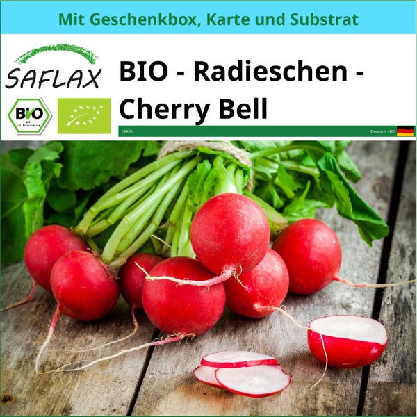 SAFLAX Geschenk Set - BIO - Radieschen - Cherry Bell - Raphanus sativus - 100 Samen - Mit Geschenkbox, Versandaufkleber, Geschenkkarte und Anzuchtsubstrat