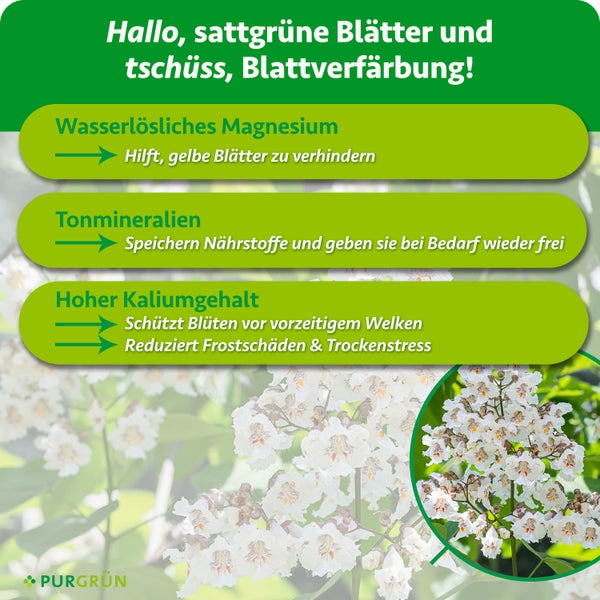 Infografik zum Purgrün Pflanzendünger mit Hinweisen zu Magnesium, Tonmineralien und Kalium für gesunde Blätter und Blüten.