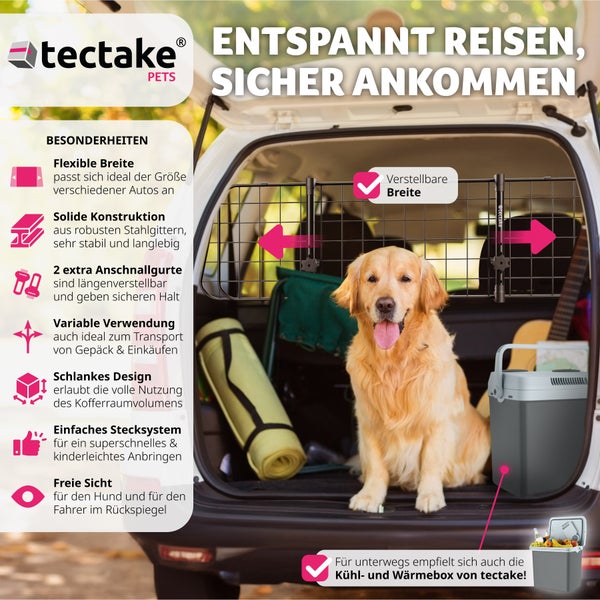 Hund mit Sicherheitsgurt im Auto für eine sichere und bequeme Reise