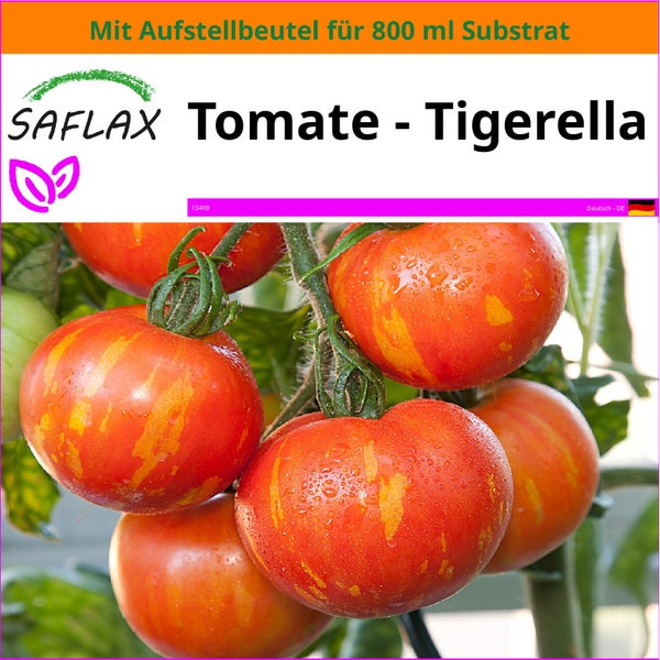 SAFLAX Garden in the bag - Tomate - Tigerella - Lycopersicon esculentum - 10 Samen - Mit Anzuchtsubstrat im praktischen, selbst aufstellenden Beutel