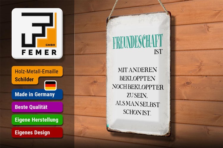 Blechschild Spruch 20x30cm Freundschaft ist mit anderen