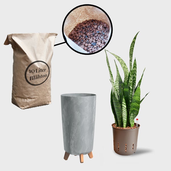 Blähton-Sack, Pflanzgefäß und Zimmerpflanze