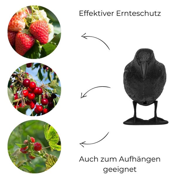 Taubenabwehr Vogelabwehr Krähe Raben Attrappe Taubenschreck Vogelschreck Vogelabwehr Vogelscheuche Tauben vertreiben