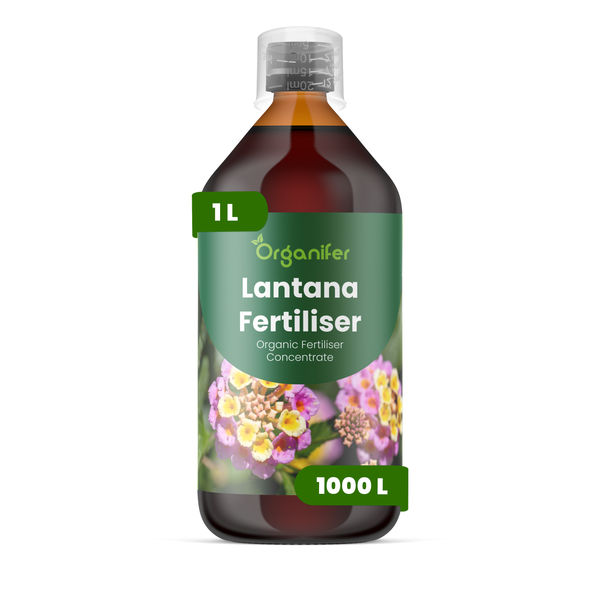 Organifer Lantana Dünger, organisches Düngerkonzentrat, 1 Liter Flasche, ergibt 1000 Liter.