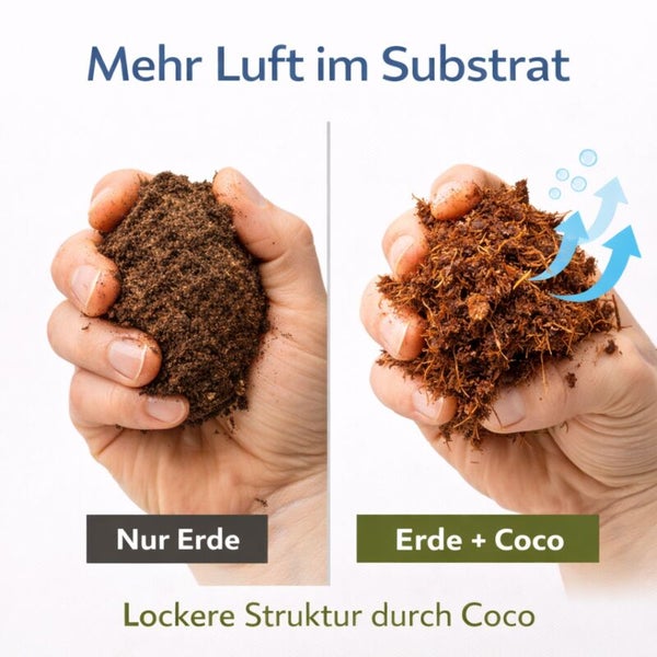 Vergleich von herkömmlicher Erde und einer Mischung aus Erde mit Kokosfasern für eine lockerere Struktur und bessere Belüftung des Substrats.