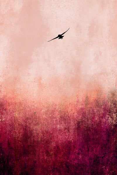 Abstrakte Kunst mit einem fliegenden Vogel