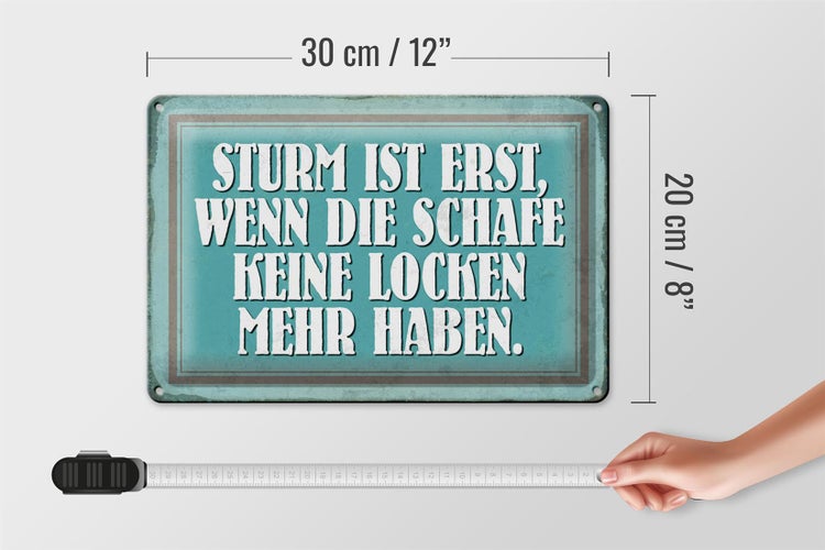 Blechschild Spruch 30x20cm Sturm wenn Schafe keine Locken