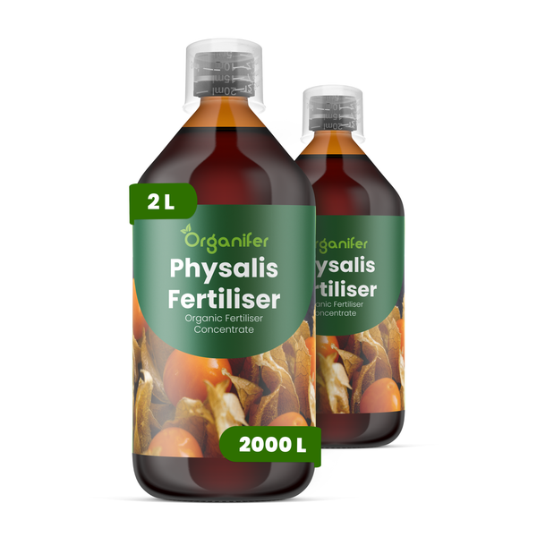Organifer Physalis-Dünger, organisches Düngerkonzentrat, zwei 2 Liter Flaschen.