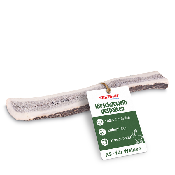 Supravit Best Friends Hirschgeweih gespalten, XS für Welpen