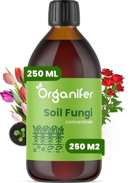 Soil Fungi Bodenpilz-Konzentrat - 250 ml für 250 m2 - Organifer
