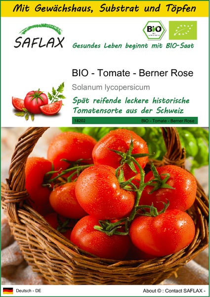 SAFLAX Anzucht Set - BIO - Tomate - Berner Rose - Solanum lycopersicum - 10 Samen - Mit Mini-Gewächshaus, Anzuchtsubstrat und 2 Töpfen
