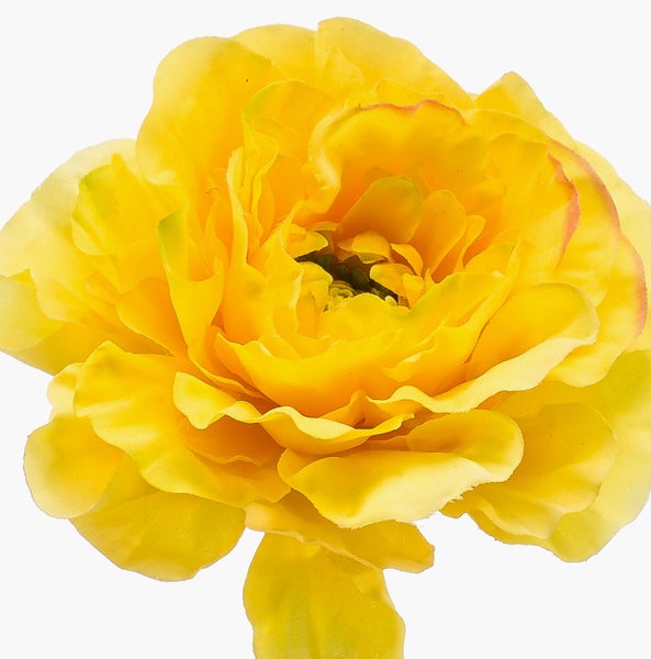 Gelbe künstliche Ranunkelblüte aus Textil.