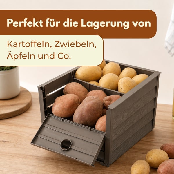 Stapelbare Vorratsbox aus Kunststoff für Kartoffeln und Gemüse mit Frontklappe und Trennwand auf einer Holzplatte.