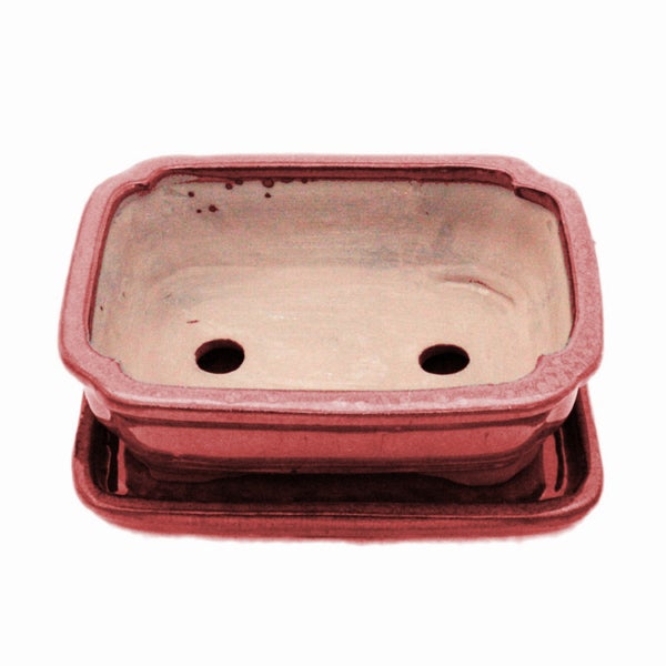 Bonsai-Schale mit Unterteller Gr. 2 - Rot - rechteckig - Modell G12 - L 15,5cm - B 12cm - H 4,5cm