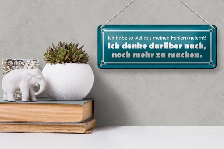 Blechschild Spruch 27x10cm ich so viel aus Fehlern gelernt Dekoration
