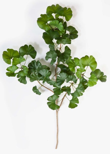 Künstliche Ginkgo-Pflanze mit fächerförmigen grünen Blättern.