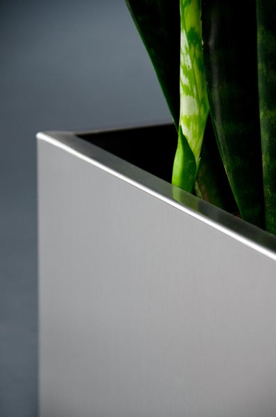Nahaufnahme eines quadratischen Pflanzkübels aus Edelstahl mit den Blättern einer Sansevieria.