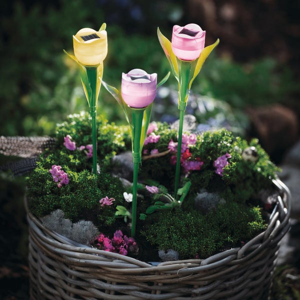 FRANK FLECHTWAREN|Solar-Deko Tulpe, 3er Set, 4,7 x 4,7 x 30,5 cm, KUNSTSTOFF