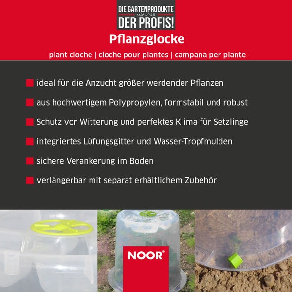 Pflanzglocke MODUL'O - Ø 35 cm x 30 cm Höhe - mit Lüftungsgitter für ideales Mikroklima für Ihre Pflanzen