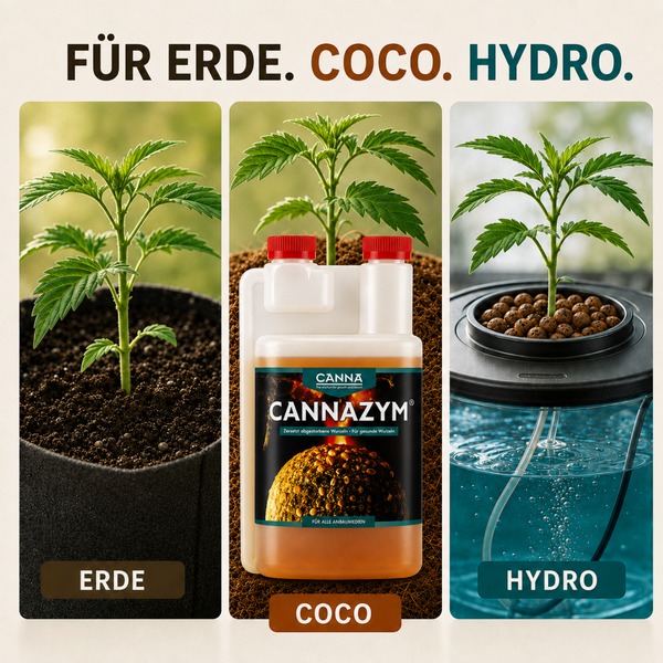 Canna Cannazym Enzymreiniger für Erde, Coco und Hydro Anbaumedien zur Förderung gesunder Wurzeln in einer Dosierflasche.