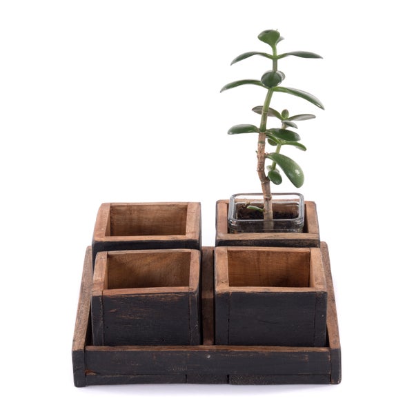 Kisten-Set Cubo 5-tlg.  Massivholz 04 schwarz-natur