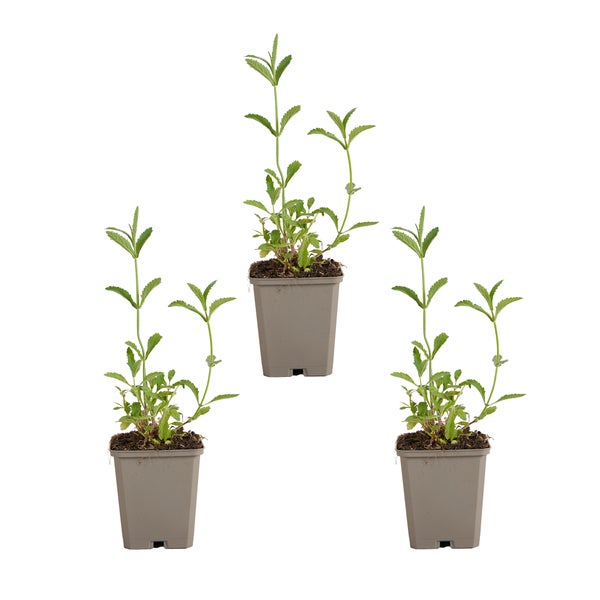 Rechteckige Duschwanne