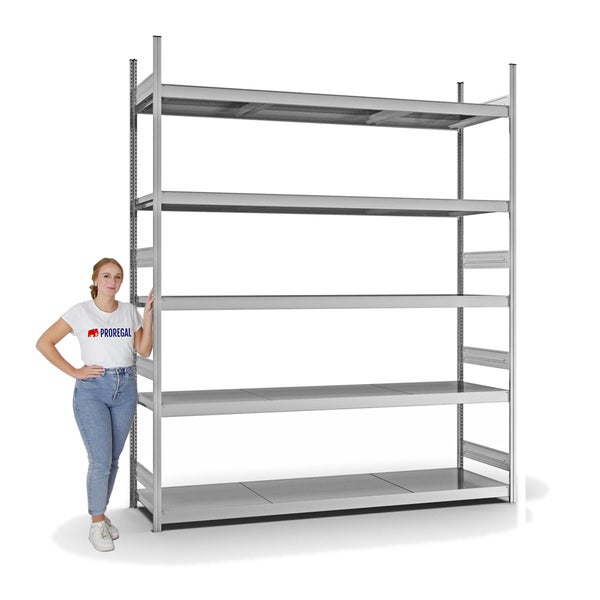 PROREGAL Weitspannregal Stecksystem T-Profil Grundregal HxBxT 300x250x60 cm 5 Ebenen Stahlplatten Fachboden Fachlast 350 kg Verzinkt