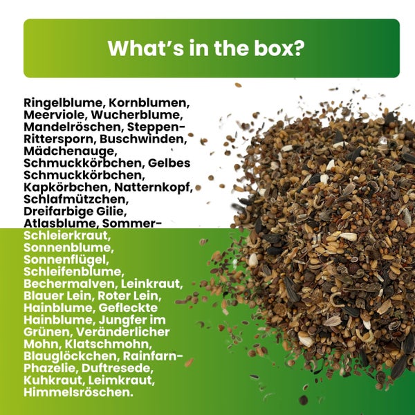 Greenyp Bienenwiese Blumenmischung I 100g für 100m² I Bienenweide - Bienen & Hummelmagnet I bienenfreundliche Blumensamen Mischung ein- und mehrjährig