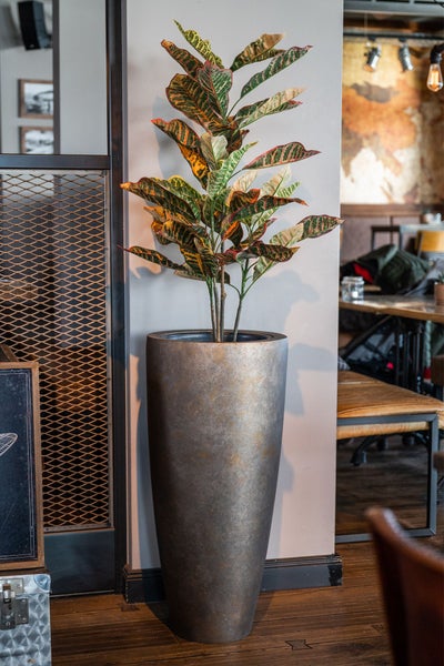 Hohes konisches Pflanzgefäß in Metalloptik mit einer Croton Pflanze in einem Raum im Industrial Stil mit Holzboden.