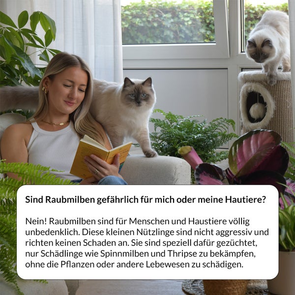 Frau liest ein Buch mit zwei Katzen und Pflanzen im Raum