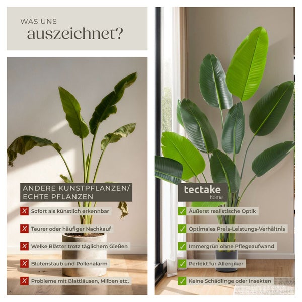Vergleich von künstlicher Pflanze und echter Pflanze mit Vorteilen der künstlichen Pflanze von tectake