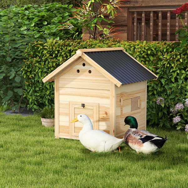 Holzentenhaus mit zwei Enten im Garten