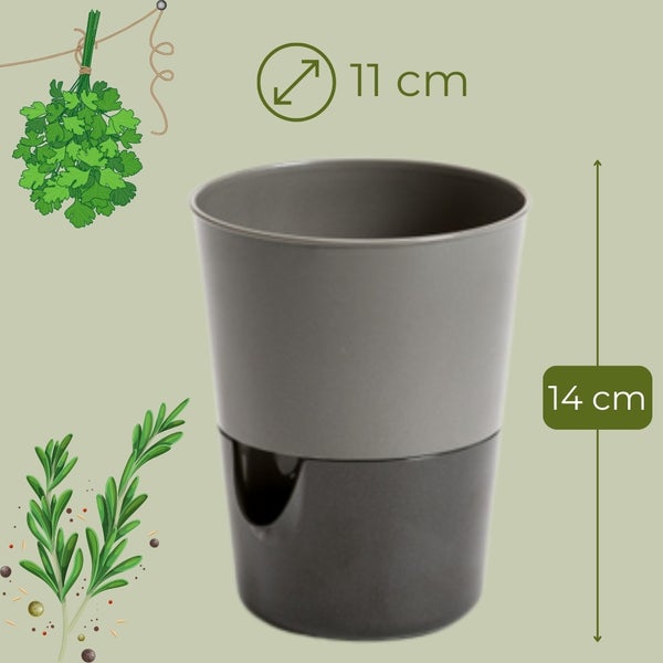 Pflanzgefäß aus Kunststoff, circa 11 mal 14 Zentimeter