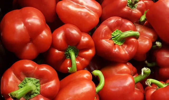 Hochbeet-Set „Bunte Ernte“, Bio-Jungpflanzen, Bio-Gemüse anbauen, Garten, Balkon, 1x Bio- Aubergine, 1x Bio-Spitzpaprika rot, 1x Bio-Blockpaprika, 1x  Bio-Cherrytomate, 1x Bio-Tomate San Marzano, 1x Bio-Zucchini