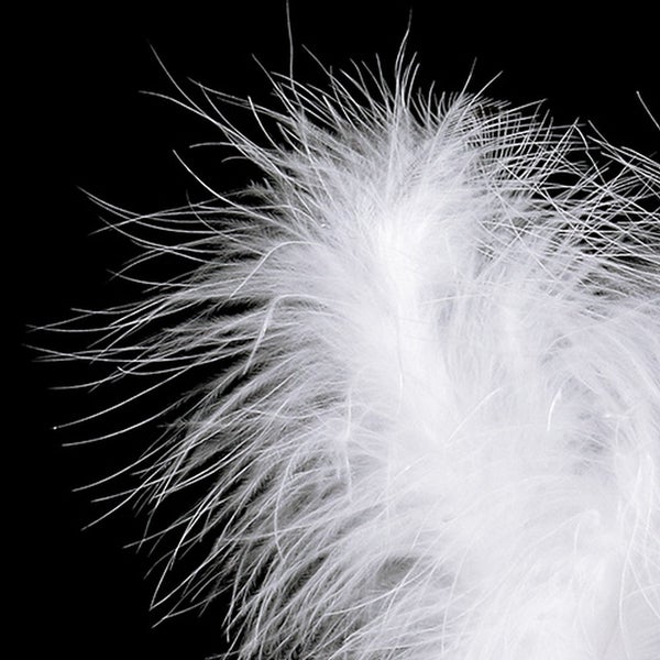 Nahaufnahme einer Feder