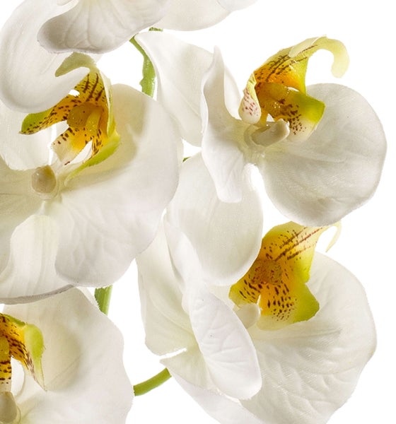 Künstlicher Orchideenzweig mit weißen Blüten und grünen Knospen für die Dekoration.