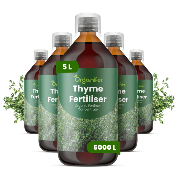 5 Flaschen Organifer Thymian Dünger, organisches Düngerkonzentrat, 5 Liter pro Flasche.