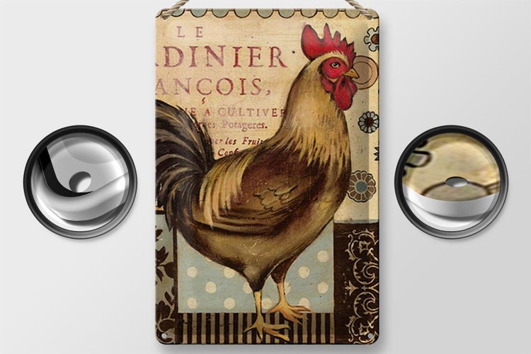 Blechschild Spruch 20x30cm Nostalgie Huhn Vintage Antik