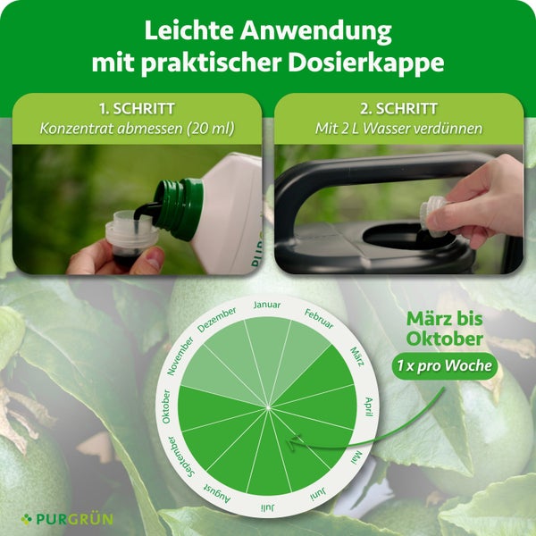 Anwendungshinweise für Purgrün Dünger mit Dosierkappe und jahreszeitlichem Düngeplan von März bis Oktober.