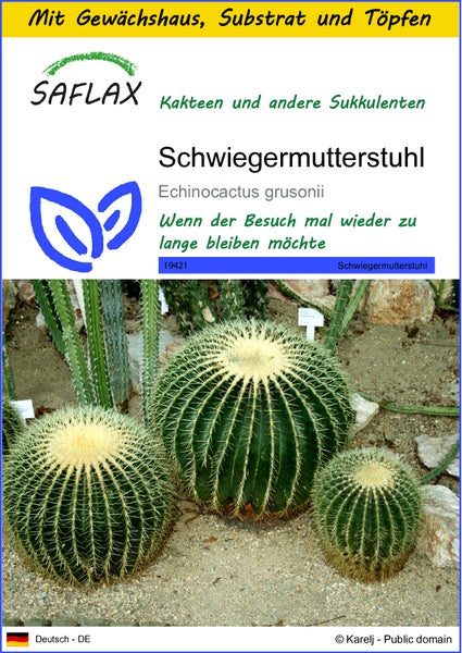 SAFLAX Anzucht Set - Schwiegermutterstuhl - Echinocactus grusonii - 40 Samen - Mit Mini-Gewächshaus, Anzuchtsubstrat und 2 Töpfen
