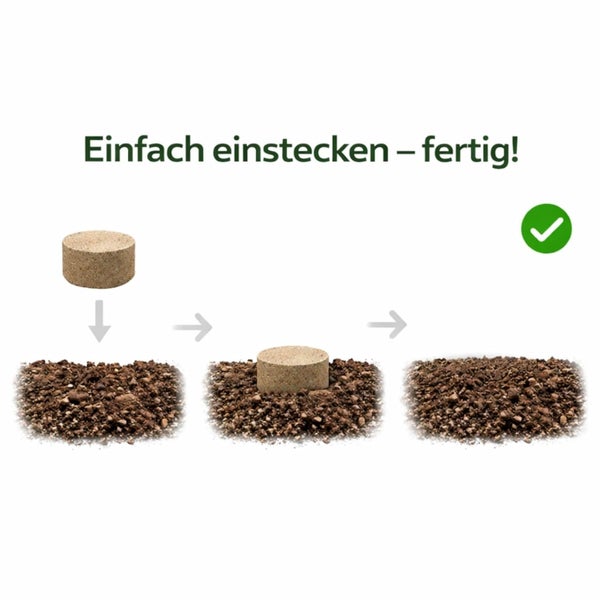 Infografik zur Anwendung eines Düngerkegels: In drei Schritten einfach in die Erde einstecken, versenken und fertig abdecken.