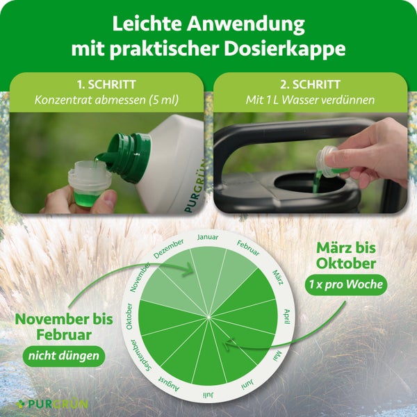 Anleitung Purgrün Flüssigdünger: 5 Milliliter abmessen, mit 1 Liter Wasser mischen. Wöchentlich düngen von März bis Oktober. Purgrün Logo.