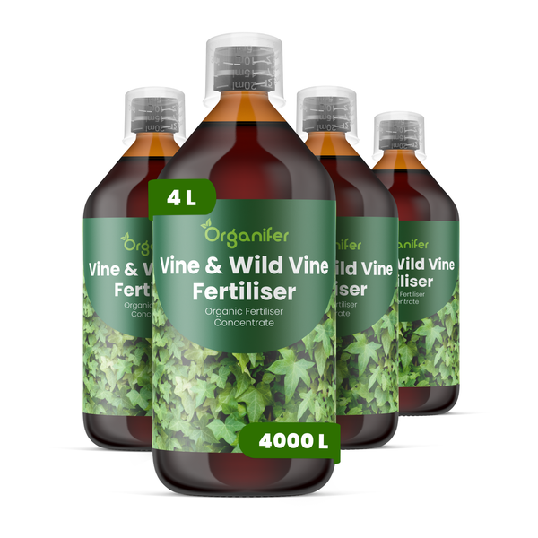 Organifer Wein- und Wildwein-Dünger, organisches Düngerkonzentrat, Set aus vier Flaschen, insgesamt vier Liter mit Messkappe.