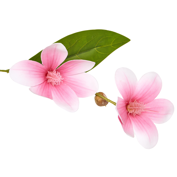 Künstlicher Magnolienzweig mit zwei rosafarbenen Blüten und einem grünen Blatt.