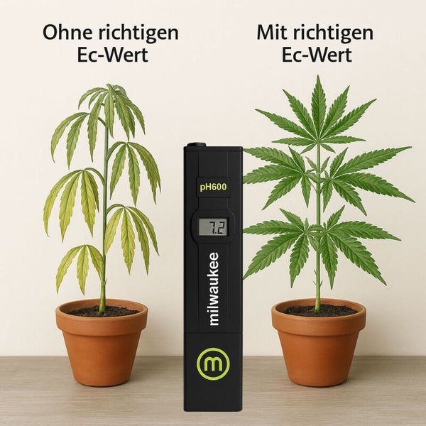 Darstellung von Pflanzenwachstum mit und ohne richtigem EC-Wert mit Milwaukee Logo