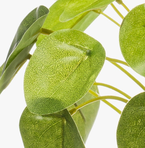 Nahaufnahme der Blätter einer künstlichen Pilea-Pflanze mit detailgetreuer Textur und dünnen Stielen.
